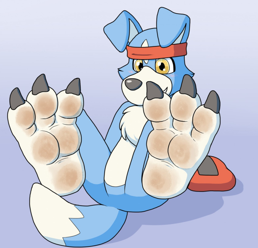 accessory ambiguous_gender anthro blue_body blue_fur blueballs canid canine clothing digimon digimon_(species) dirty dirty_feet feet foot_focus fur gaomon headband headgear headwear hi_res hindpaw mammal paws solo yellow_eyes