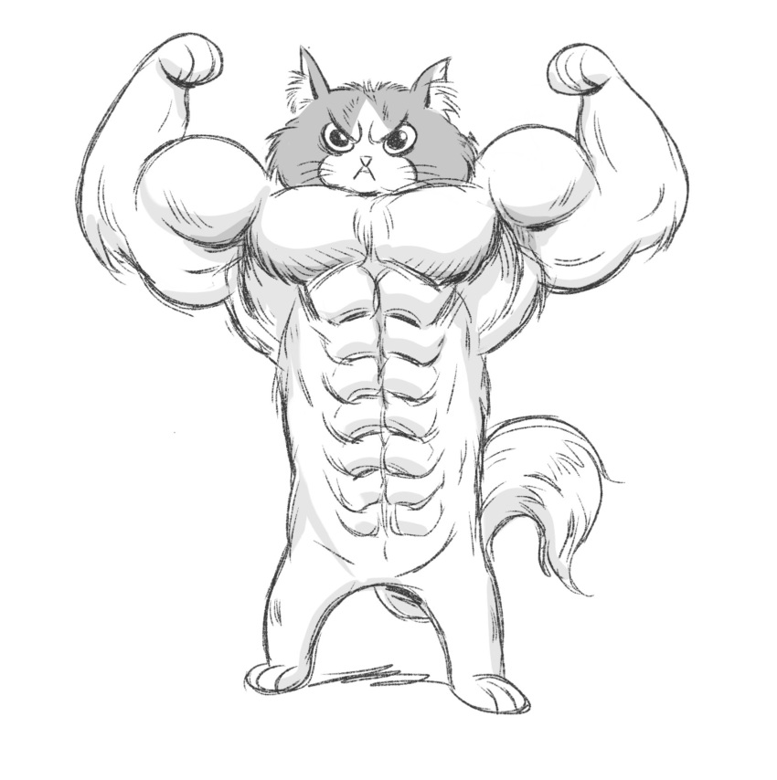 2019 abs ambiguous_gender anthro domestic_cat felid feline felis flexing frown fur greyscale hi_res kaell mammal monochrome muscular muscular_ambiguous muscular_anthro solo standing