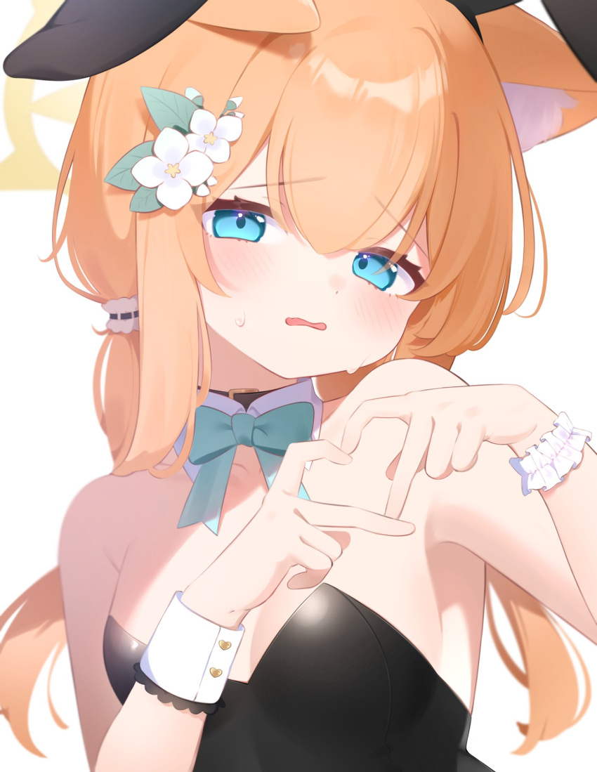 1girl animal_ear_fluff animal_ears aoitsuki bare_arms bare_shoulders black_choker black_leotard blue_archive blue_bow blue_bowtie blue_eyes blush bow bowtie breasts cat_ears choker detached_collar fake_animal_ears flower hair_flower hair_ornament halo hands_up heart heart_hands highres leotard long_hair looking_at_viewer mari_(blue_archive) open_mouth orange_hair playboy_bunny rabbit_ears simple_background small_breasts solo sweat twintails upper_body wavy_hair white_background wrist_cuffs