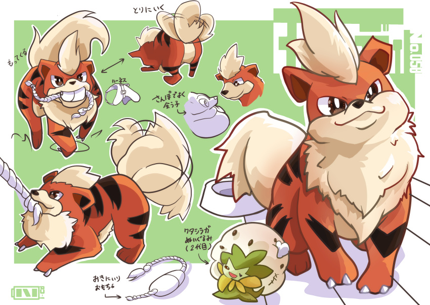 absurd_res ambiguous_gender black_nose bowl brown_eyes chest_tuft container feral fur generation_1_pokemon growlithe head_tuft hi_res japanese_text model_sheet ni_cd0173 nintendo orange_body orange_fur paws pet_bowl pokemon pokemon_(species) rope simple_background solo species_request tail tail_motion tailwag tan_body tan_fur text toy tuft