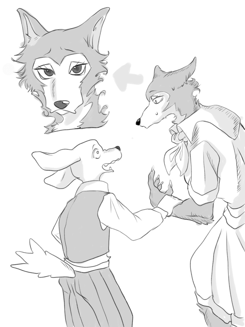 anthro beastars bird_dog bodily_fluids bottomwear canid canine canis clothed clothing crossgender domestic_dog dress duo eorrow eyelashes female fluffy fully_clothed golden_retriever hi_res hunting_dog jack_(beastars) legoshi_(beastars) male mammal mtf_crossgender open_mouth pants raised_tail reality_shift retriever school_uniform surprise sweat sweatdrop tail topwear uniform vest wolf