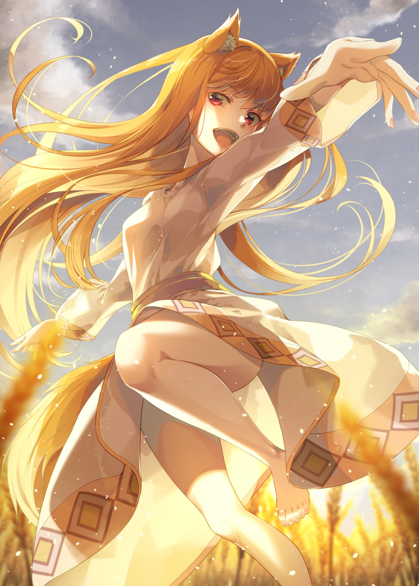 1girl absurdres animal_ears barefoot blonde_hair commentary_request dress fang foreshortening highres holo jumping long_hair long_sleeves looking_at_viewer mukunokino_isshiki open_mouth outdoors red_eyes sky solo spice_and_wolf tail thighs wheat_field white_dress wolf_ears wolf_girl wolf_tail