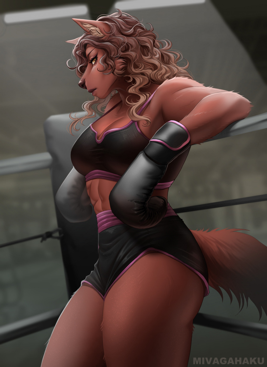 abs anthro boxing_gloves bra breasts canid canine canis cleavage clothed clothing ear_tuft female feral fighting_ring fur hair handwear hi_res korigahaku leaning looking_at_viewer mammal muscular muscular_female solo sports_bra tani_rinkan tuft underwear wolf