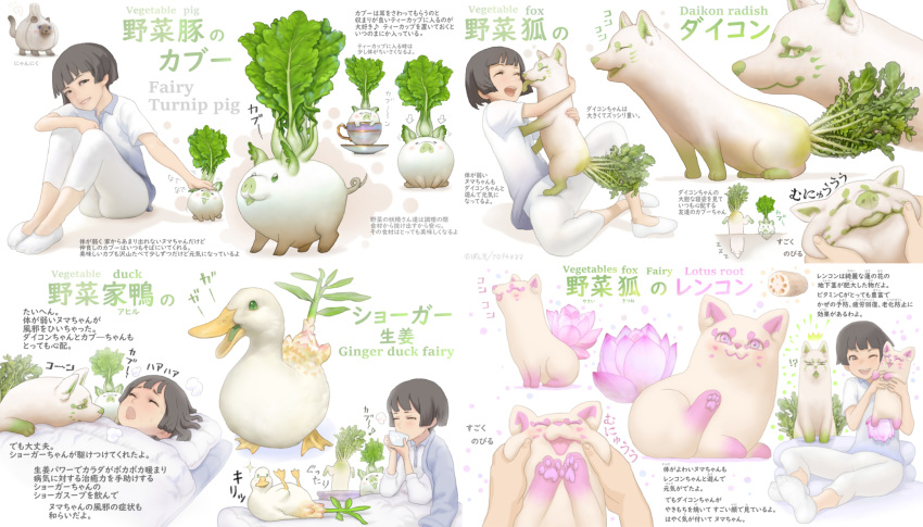 1girl animal bird black_hair brown_eyes cat cheek_pinching closed_eyes commentary_request cup duck flower food fox ginger highres hug knees_up licking long_sleeves lotus lying multiple_views on_bed original pig pinching ponkichi_(ponkichim) radish short_hair sitting smile socks sweat teacup tongue tongue_out translation_request turnip under_covers vegetable white_background