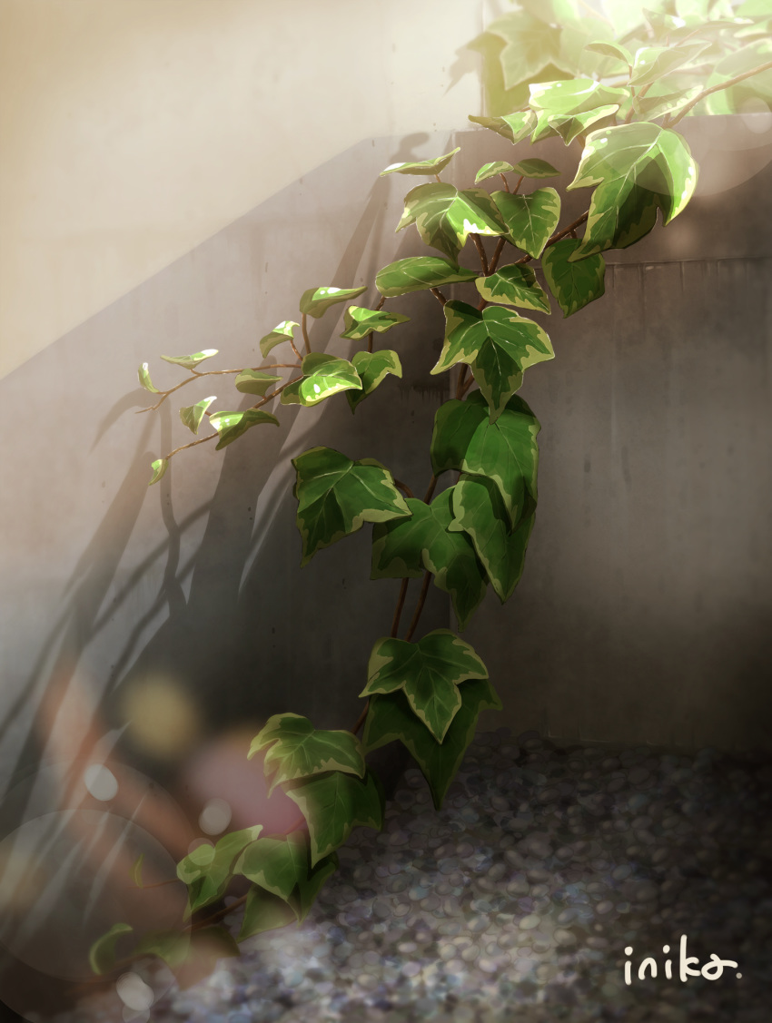 ground highres inika no_humans original plant shadow wall