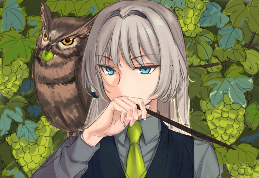 1girl an-94_(girls_frontline) bangs bird blue_eyes blue_vest commentary_request covering_mouth eyebrows_visible_through_hair food fruit girls_frontline grape_vine grapes grey_shirt hair_between_eyes hairband hand_up long_hair looking_at_viewer necktie on_shoulder open_eyes owl platinum_blonde_hair shirt silayloe simple_background solo vest yellow_neckwear