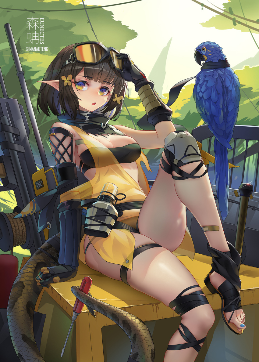 arknights bandaid bra cleavage eunectes_(arknights) gun pantsu pointy_ears see_through sima_naoteng tail