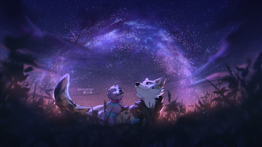 16:9 2020 canid canine canis collar detailed_background digital_media_(artwork) domestic_dog lukiri mammal night outside sky smile star starry_sky widescreen