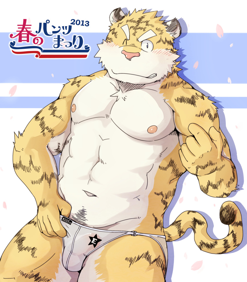2013 anthro balls_outline barazoku blush bulge clothing felid genital_outline hi_res humanoid_hands kemono male mammal muscular muscular_anthro muscular_male nipples one_eye_closed pantherine penis_outline shiike999 solo tiger underwear underwear_festival wink