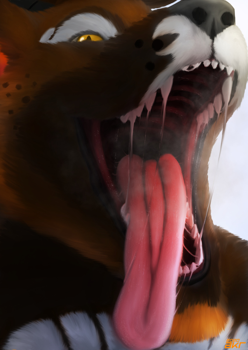 akr anthro black_nose bodily_fluids brown_body brown_eyes brown_fur canid canine fur hi_res long_tongue male mammal mouth_shot open_mouth pink_tongue rektalius saliva sharp_teeth solo tagme teeth tongue