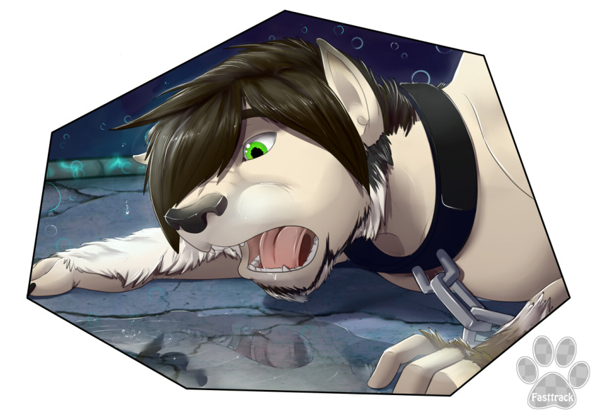 animal_humanoid anthro canid canid_humanoid canine canine_humanoid canis collar digital_media_(artwork) dog_humanoid domestic_dog fasttrack37d fur green_eyes hair human humanoid male mammal mammal_humanoid neox pond reflection snout solo transformation