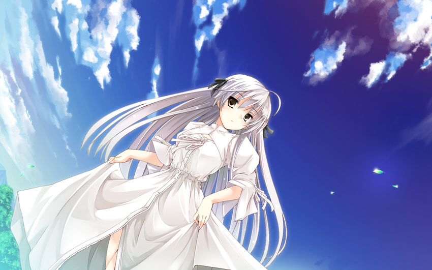 brown_eyes day fisheye highres kasugano_sora mutou_kurihito sky solo wallpaper white_hair yosuga_no_sora