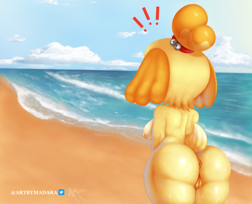 ! 2020 animal_crossing anthro anus artbymadara beach big_butt breasts butt canid canine canis cloud domestic_dog female genitals hi_res isabelle_(animal_crossing) mammal nintendo nude nudist outside pussy rear_view seaside shih_tzu signature solo toy_dog video_games water