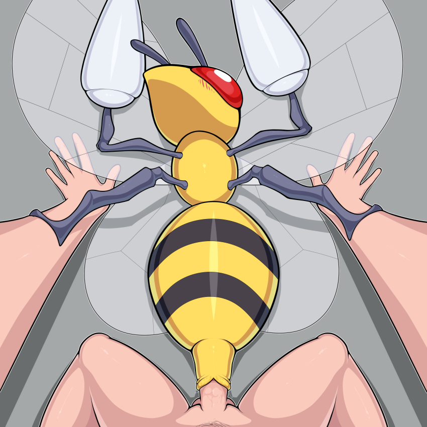 absurd_res ambiguous_gender ambiguous_penetrated animal_genitalia balls beedrill bestiality cloaca cloacal cloacal_penetration duo feral feral_penetrated genitals hi_res human human_on_feral human_penetrating humanoid insect_wings interspecies male male/ambiguous male_penetrating male_penetrating_ambiguous mammal nintendo penetration penis pok&eacute;mon pok&eacute;mon_(species) red_eyes video_games wings zeamaeri