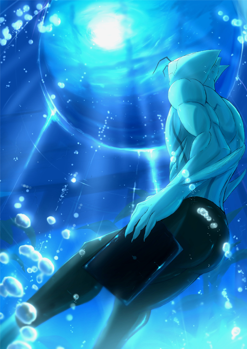 absurd_res animal_humanoid antennae_(anatomy) aquarium athletic athletic_male back_muscles biceps blood_blockade_battlefront blue_body blue_skin bubble clothed clothing fin hi_res humanoid male marine marine_humanoid muscular muscular_male obliques plant rear_view skinsuit solo tablet tight_clothing topless triceps underwater vivarium water zed_o'brien