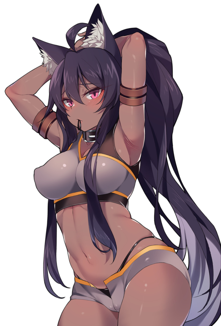 1girl absurdres ahoge animal_ear_fluff animal_ears armlet armpits arms_up black_hair black_panties breasts collar covered_nipples cowboy_shot crop_top dark_skin gold_trim hair_between_eyes hands_in_hair highleg highleg_panties highres jingo long_hair looking_at_viewer medium_breasts micro_shorts midriff mouth_hold navel open_fly original panties pink_eyes ponytail shorts simple_background sleeveless solo stomach thighs tying_hair underwear very_long_hair white_background