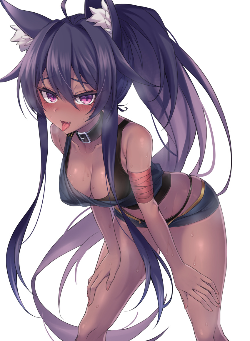 1girl :d ahoge animal_ear_fluff animal_ears bare_arms bare_shoulders bent_over black_choker black_hair black_panties black_shirt breasts choker cleavage crop_top dark_skin gold_trim hands_on_own_thighs heavy_breathing highres jingo long_hair looking_at_viewer medium_breasts micro_shorts midriff open_fly open_mouth original panties ponytail purple_eyes shirt shorts simple_background sleeveless sleeveless_shirt smile solo standing string_panties sweat thighs tongue tongue_out underwear very_long_hair white_background