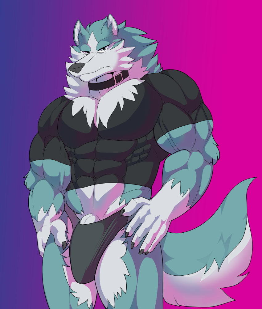 absurd_res anthro brand_new_animal bulge canid canine canis clothing collar genitals hi_res intimatewolf male mammal muscular muscular_anthro muscular_male penis penis_base shirou_ogami shirt solo studio_trigger tight_clothing tight_shirt tight_topwear topwear underwear wolf