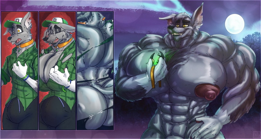 2019 anthro big_bulge big_butt big_muscles big_pecs broken_collar bulge butt butt_expansion canid canine canis clothed clothing collar detailed_background digital_media_(artwork) domestic_dog expansion fully_clothed genital_expansion growth hat headgear headwear huge_bulge huge_butt huge_muscles huge_pecs hyper hyper_bulge hyper_muscle_growth hyper_muscles hyper_nipples male mammal moon muscle_growth muscular muscular_anthro muscular_male night nipples paw_patrol pecs penis_expansion rocky_(paw_patrol) sequence shaded solo standing torn_clothing transformation transformation_sequence wardrobe_malfunction were werecanid werecanine werewolf xtrent968