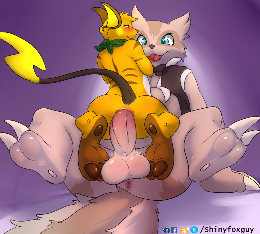 anthro balls blue_eyes blush cappy_(cappyowo) claws clothed clothed_sex clothing duo fur genitals hi_res humanoid_genitalia humanoid_penis interspecies larger_male linoone male male/male necktie nintendo orange_body orange_fur pawpads penis pok&eacute;mon pok&eacute;mon_(species) raichu red_eyes scarf sex shinyfoxguy size_difference smaller_male tan_body tan_fur topwear vest video_games zarro