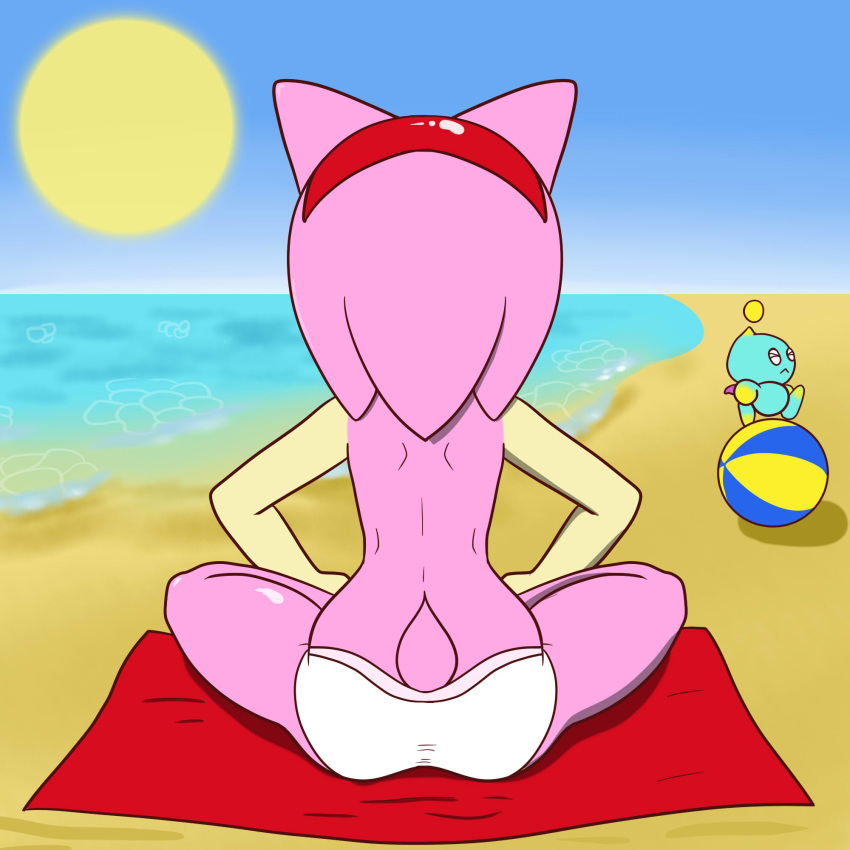 1:1 amy_rose anthro ball beach beach_ball butt chao_(sonic) clothed clothing duo eulipotyphlan female hedgehog hi_res kamikiller mammal panties rear_view seaside sonic_the_hedgehog_(series) topless underwear