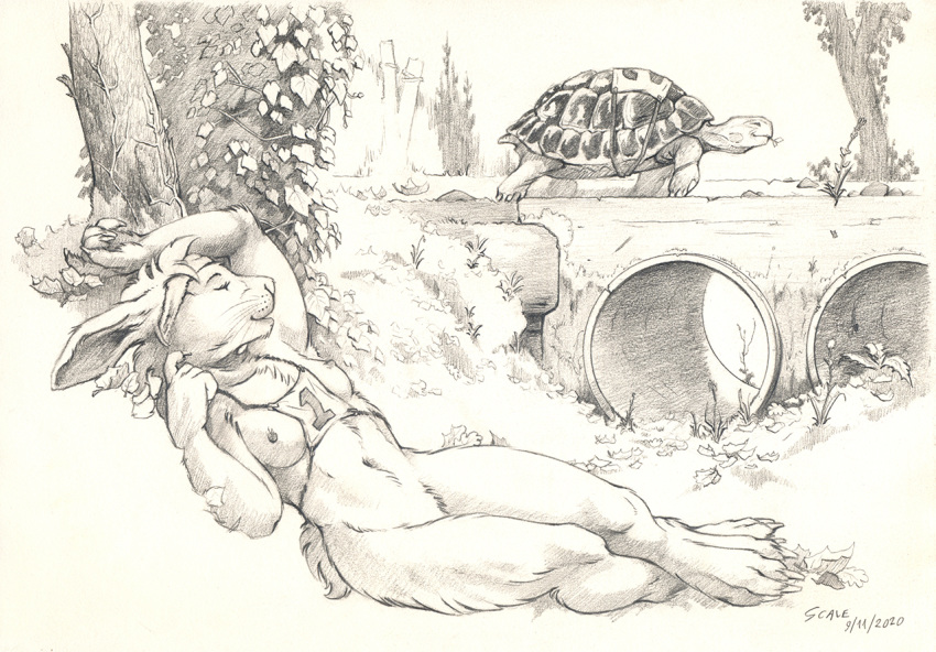 4_toes 5_fingers ambiguous_gender anthro breasts day detailed_background duo female feral fingers navel outside reptile scale_(artist) scalerandiart scalie smile toes tortoise turtle