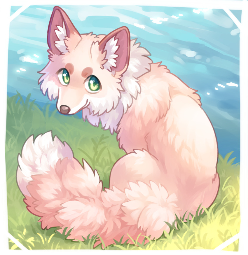 ambiguous_gender ayaka canid canine feral fluffy fluffy_tail fox fur grass hi_res looking_at_viewer looking_back mammal outside pink_body pink_fur plant river sitting solo tail white_body white_fur