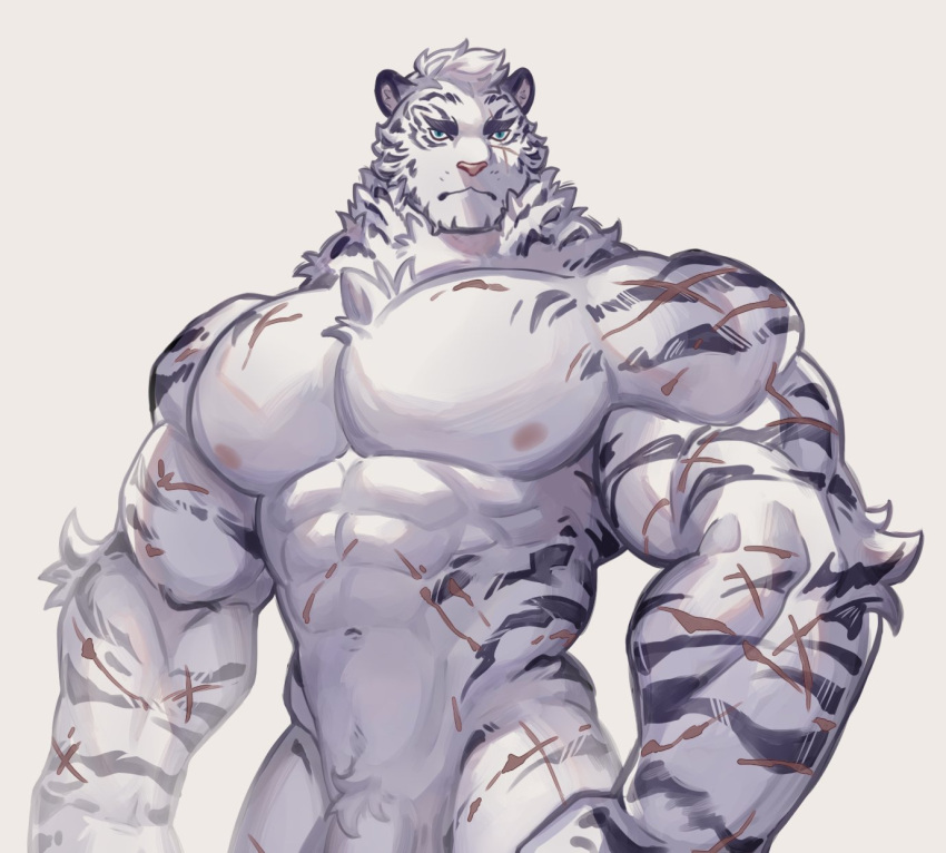 1boy abs animal_ears arknights bara blue_eyes commentary_request furry furry_male highres kerogi_haku large_pectorals male_focus mixed-language_commentary mountain_(arknights) multiple_scars muscular muscular_male nude pectorals penis_out_of_frame scar scar_across_eye scar_on_arm scar_on_cheek scar_on_chest scar_on_face scar_on_stomach tiger_boy tiger_ears tiger_stripes white_background