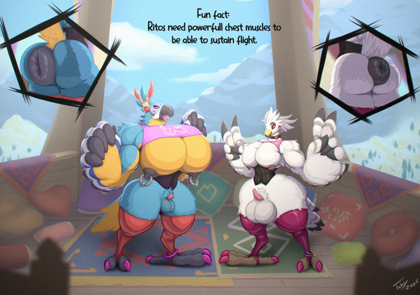 anthro anus areola avian ball_size_difference balls beak big_anus big_balls big_pecs biped breath_of_the_wild butt claws duo english_text erection genitals huge_anus huge_balls huge_pecs kass_(tloz) male muscular muscular_anthro muscular_male nintendo nipple_piercing nipple_ring nipples open_mouth open_smile pecs penis penis_size_difference piercing puffy_anus ring_piercing rito small_penis smile teba_(tloz) text the_legend_of_zelda thick_thighs toby_art tongue tongue_out