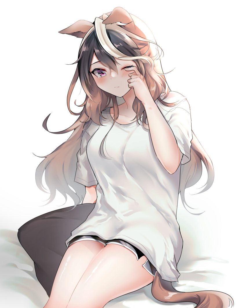 1girl absurdres animal_ears black_shorts blush breasts brown_hair closed_mouth dolphin_shorts dot_nose highres holding holding_pillow horse_ears horse_girl horse_tail looking_at_viewer medium_breasts narusawa_(njzc2582) one_eye_closed pillow pink_eyes rubbing_eyes shirt short_sleeves shorts sitting solo symboli_rudolf_(umamusume) t-shirt tail thighs umamusume underwear white_background white_shirt