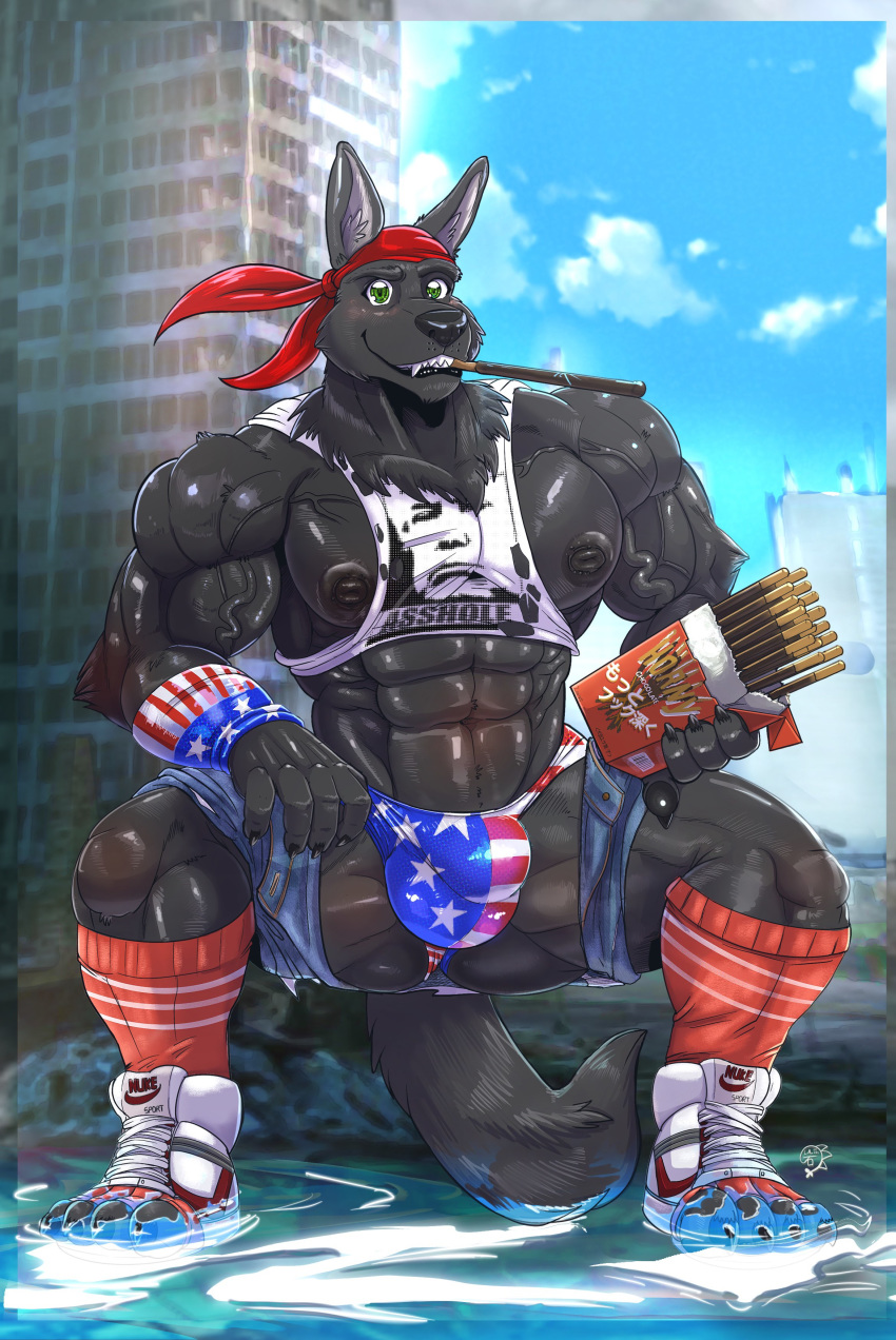 absurd_res anthro big_nipples bulge canid canine canis clothing food hi_res lupine_assassin male mammal muscular muscular_anthro muscular_male nipples pocky solo speedo swimwear tokenworks wolf