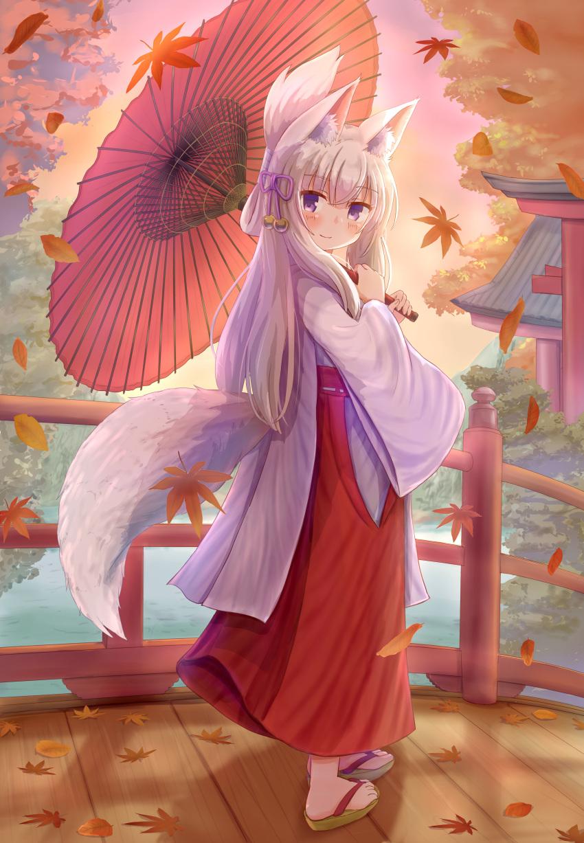 1girl absurdres animal_ear_fluff animal_ears autumn_leaves bangs blush bridge brown_footwear closed_mouth commentary_request eyebrows_visible_through_hair fox_ears fox_girl fox_tail full_body hair_between_eyes hair_ribbon hakama highres holding holding_umbrella iroha_(iroha_matsurika) japanese_clothes kimono leaf long_hair long_sleeves looking_at_viewer looking_to_the_side maple_leaf miko no_socks oriental_umbrella original outdoors purple_eyes purple_ribbon red_hakama red_umbrella ribbon ribbon_trim smile solo standing tail torii umbrella very_long_hair water white_hair white_kimono wide_sleeves zouri