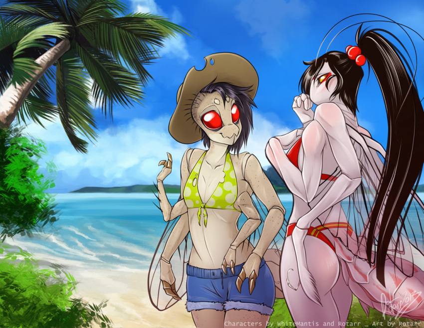 anthro arthropod arthropod_abdomen beach bikini black_hair bottomwear bra breast_size_difference breasts butt clothed clothing day dipteran duo female hair hotpants housefly insect insect_wings long_hair mantis nae non-mammal_breasts outside palm_tree ponytail red_eyes rotarr rotarr_(character) sand sea seaside shorts skimpy small_breasts smile standing sun_hat swimwear tree underwear water wings