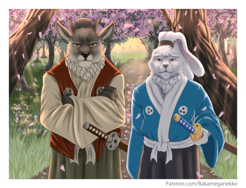 2020 anthro asian_clothing bakameganekko biped black_nose border bovid brown_eyes caprine cherry_blossom clothed clothing crossed_arms digital_media_(artwork) duo east_asian_clothing fingers forest fully_clothed fur goat grass grey_body grey_fur grey_horn grey_nose hi_res horn japanese_clothing katana lagomorph leporid long_ears looking_at_viewer male mammal melee_weapon miyamoto_usagi multicolored_body multicolored_fur neck_tuft outside plant rabbit samurai sheathed_weapon standing sword text tree tuft two_tone_body two_tone_fur url usagi_yojimbo warrior weapon white_body white_border white_fur yellow_eyes