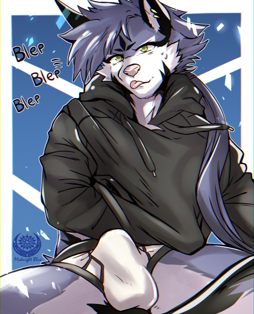 anthro black_clothing black_hoodie black_topwear blep briefs bulge canid canine clothing drawyourfursona fox hi_res hoodie hoodie/briefs_meme male mammal meme meme_clothing midnight_blue simple_background sitting solo tongue tongue_out topwear underwear white_clothing white_underwear