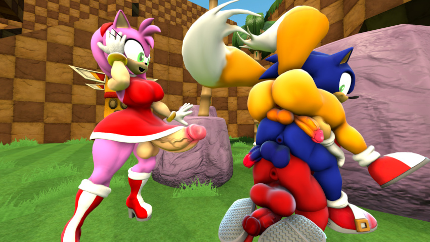 amy_rose anthro anus balls big_butt breasts butt canid canine darksorm echidna eulipotyphlan fox genitals group hedgehog hi_res intersex knuckles_the_echidna male mammal miles_prower monotreme penis public sex_toy sonic_the_hedgehog sonic_the_hedgehog_(series) stack surprise