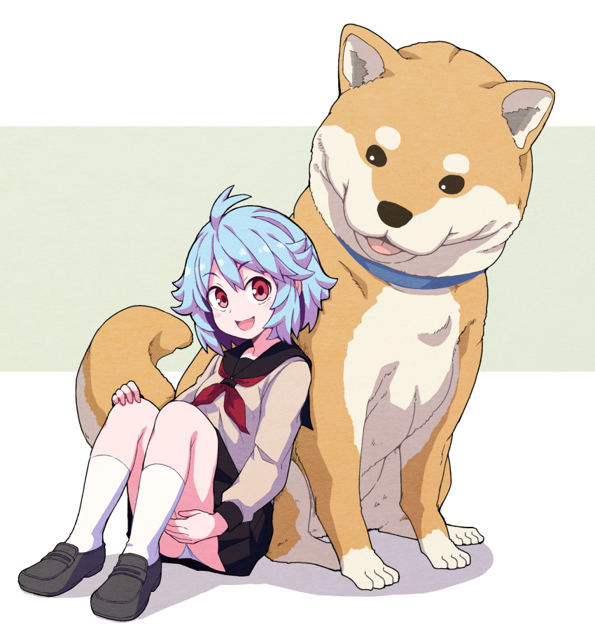 1girl :d ahoge animal bangs black_footwear black_skirt blue_collar blue_hair collar dog eyebrows_visible_through_hair full_body hair_between_eyes hand_on_own_knee hand_on_own_thigh head_tilt highres kneehighs knees_up loafers long_sleeves looking_at_viewer miniskirt nazonazo_(nazonazot) neckerchief open_mouth original oversized_animal panties pantyshot pleated_skirt red_eyes red_neckwear school_uniform serafuku shadow shiba_inu shiny shiny_hair shoes short_hair sidelocks sitting skirt smile underwear white_background white_legwear white_panties