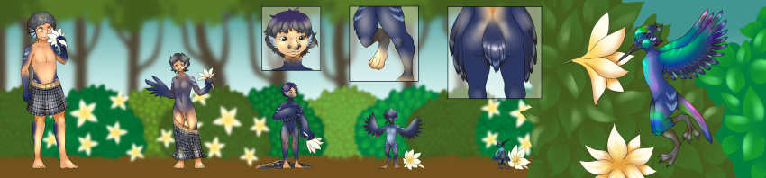 2020 absurd_res anthro avian bird blue_body blue_feathers butt day eyewear feathers flower flying genitals glasses hair hi_res humanoid humanoid_to_anthro hummingbird ichihara-chan kilt long_image male naturally_censored outside penis plant sequence shrinking size_transformation smile solo standing talons transformation wide_image