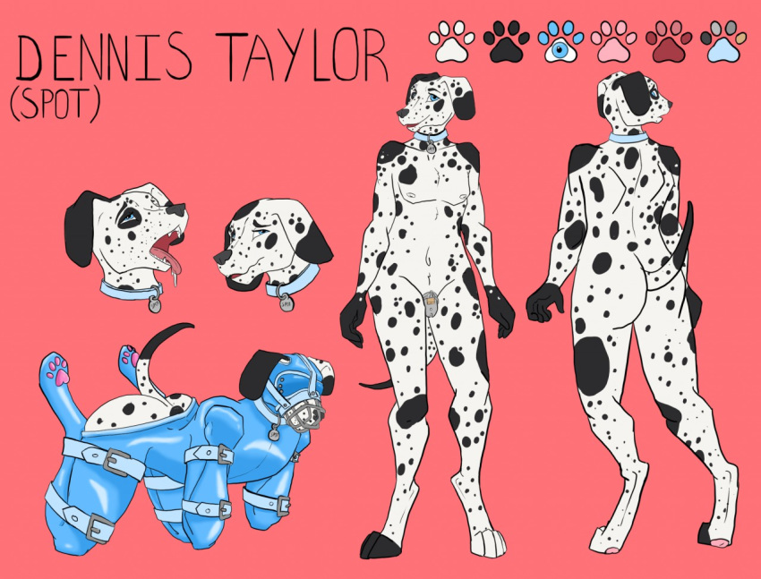 4_toes ahegao anthro bdsm bitchsuit black_body black_fur blindfold blue_eyes bodily_fluids bondage bound butt canid canine canis chastity_cage chastity_device collar dalmatian dennis_taylor domestic_dog english_text fur hindpaw looking_at_viewer looking_pleasured male mammal model_sheet multiple_poses multiple_positions muzzle_(object) muzzled nipples nude open_mouth pawpads paws petpolaris pink_background pose saliva simple_background smile solo spots spotted_body spotted_fur standing straps text toes tongue tongue_out white_body white_fur worried