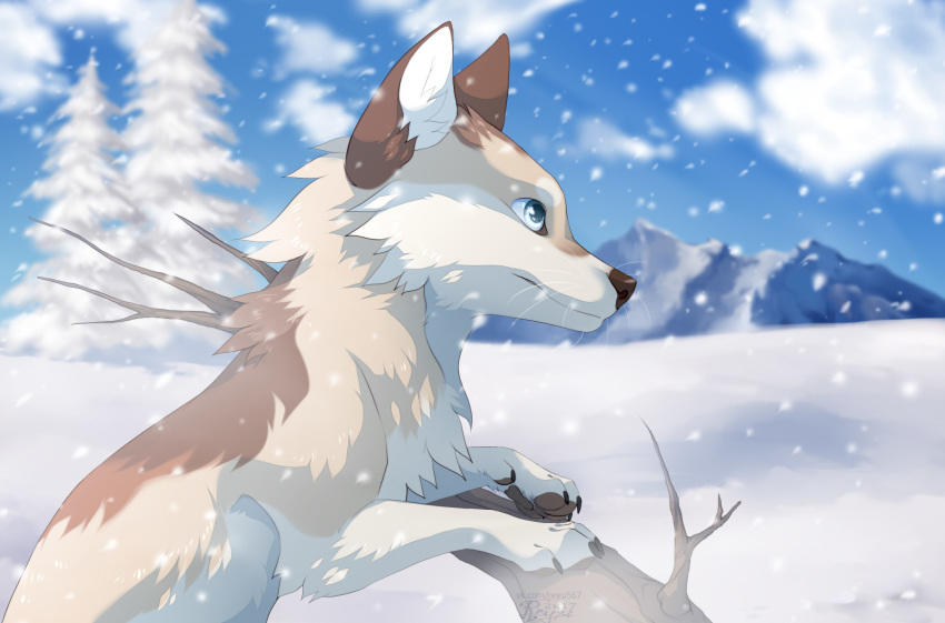 2017 ambiguous_gender black_nose blue_eyes canid canine day detailed_background digital_media_(artwork) feral fur hi_res mammal outside reysi sky smile solo tan_body tan_fur