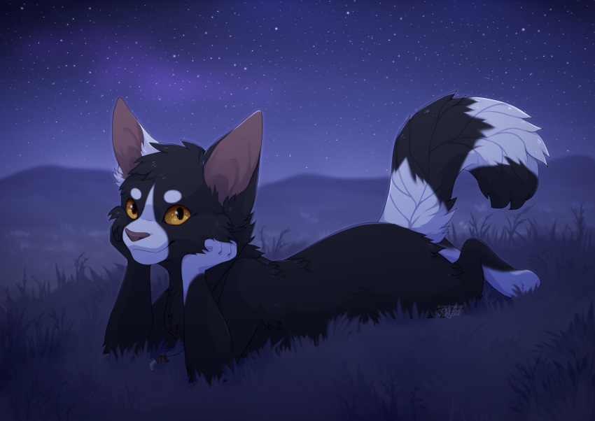 2018 ambiguous_gender anthro black_body black_fur detailed_background digital_media_(artwork) domestic_cat felid feline felis fur hi_res mammal night orange_eyes outside reysi sky solo star starry_sky yellow_eyes