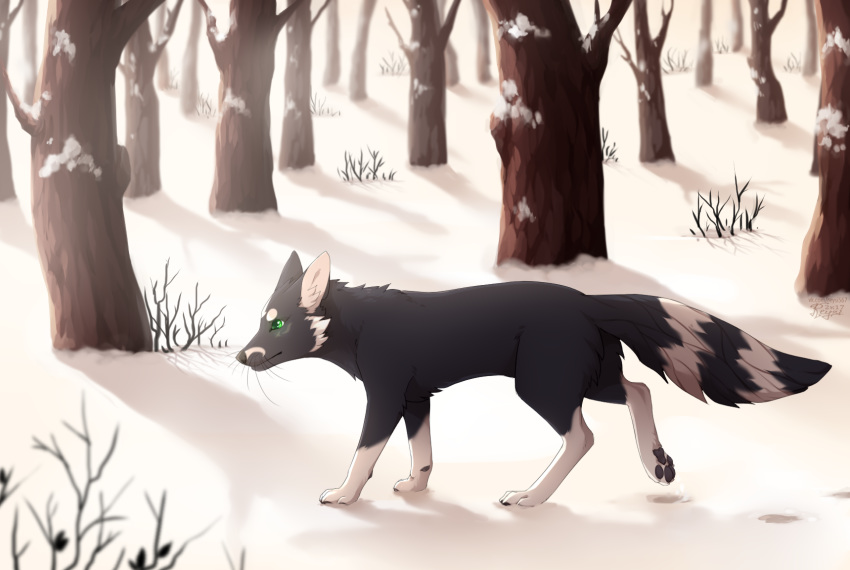 2017 black_body black_fur canid canine day detailed_background digital_media_(artwork) forest fox fur green_eyes hi_res mammal outside reysi snow tree whiskers white_body white_fur