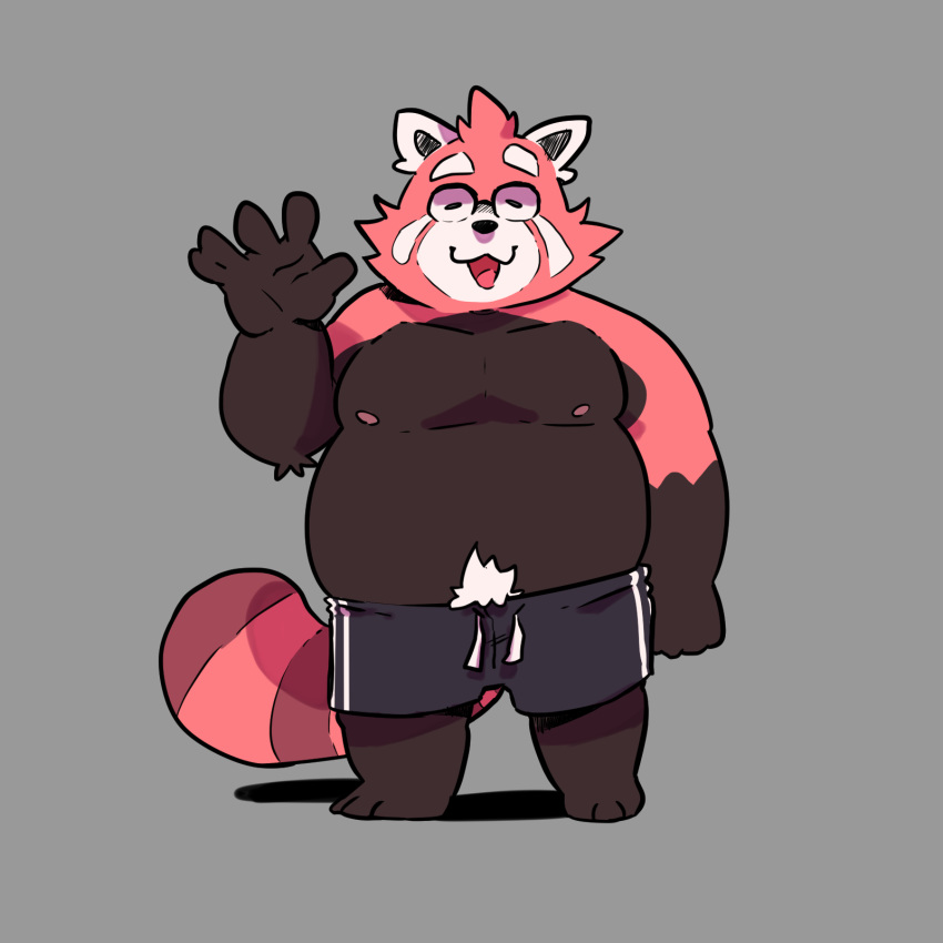 1:1 2020 ailurid anthro black_body black_fur clothing eyes_closed fur gafreitasart hi_res male mammal overweight overweight_anthro overweight_male pink_body pink_fur red_panda simple_background solo underwear