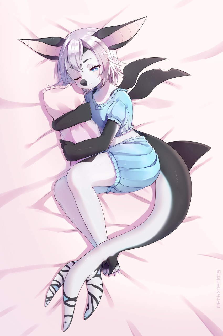 1girl animal_ears bangs barefoot bed_sheet black_skin bloomers blue_bloomers blue_eyes blue_shirt blush claws closed_mouth colored_skin commentary commission dakimakura_(medium) english_commentary eyebrows_visible_through_hair fang fang_out fins fish_tail flat_chest from_above furry grey_hair half-closed_eye heart heart-shaped_pupils highres legs_together lying methynecros midriff navel on_side one_eye_closed original pajamas pillow pillow_hug pink_background puffy_short_sleeves puffy_sleeves shark_girl shark_tail shiny shiny_hair shiny_skin shirt short_hair short_sleeves sidelocks skin_fang sleepy solo stomach symbol-shaped_pupils tail two-tone_skin underwear white_skin