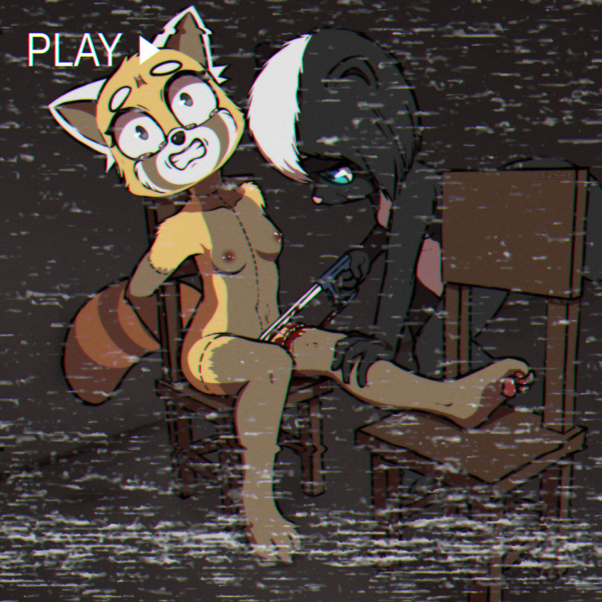 aggressive_retsuko ailurid amputation anthro arms_tied barefoot black_body black_fur blood bodily_fluids bound brown_body brown_fur camera chair crying cutting dismemberment duo e254e female female/female fur furniture gore hi_res mammal marker mephitid nipples nude pawpads red_panda retsuko sanrio saw skunk snuff suffering tears tools torture vhs_filter video_camera white_body white_fur yellow_body yellow_fur