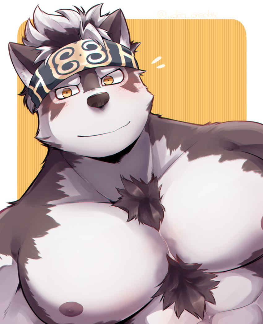 1boy animal_ears bara blush furry grey_hair headband highres horkeu_kamui_(tokyo_houkago_summoners) looking_at_viewer male_focus multicolored_hair muscle nipples pectoral_focus pectorals plump silver_hair simple_background smile solo tokyo_houkago_summoners udon_oneday upper_body