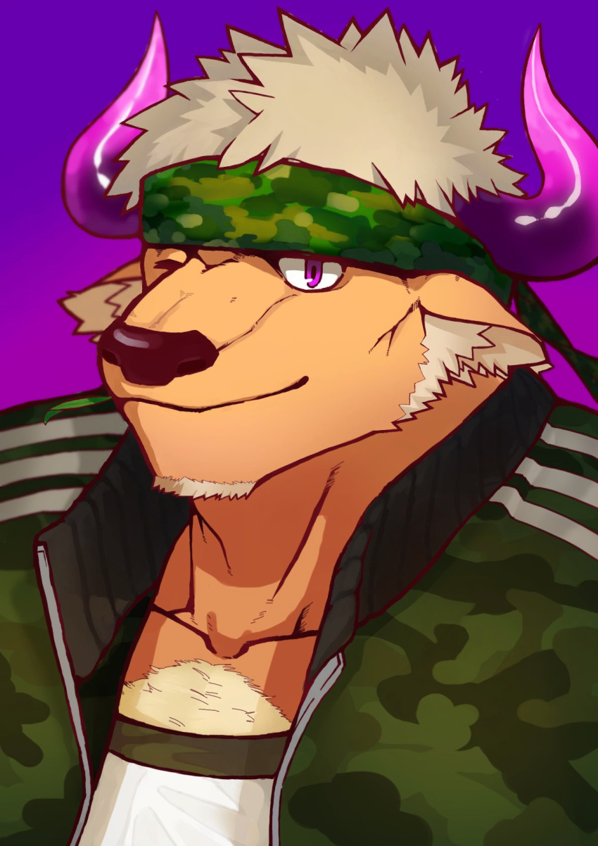 1boy animal_ears bara brown_fur camouflage camouflage_headwear camouflage_jacket chest_hair cow_ears cow_horns face facial_hair furry goatee headband highres horns jacket male_focus minotaur muscle one_eye_closed purple_background purple_eyes purple_horns shennong_(tokyo_houkago_summoners) short_hair sideburns smile solo tokyo_houkago_summoners tsuk8454 upper_body white_hair