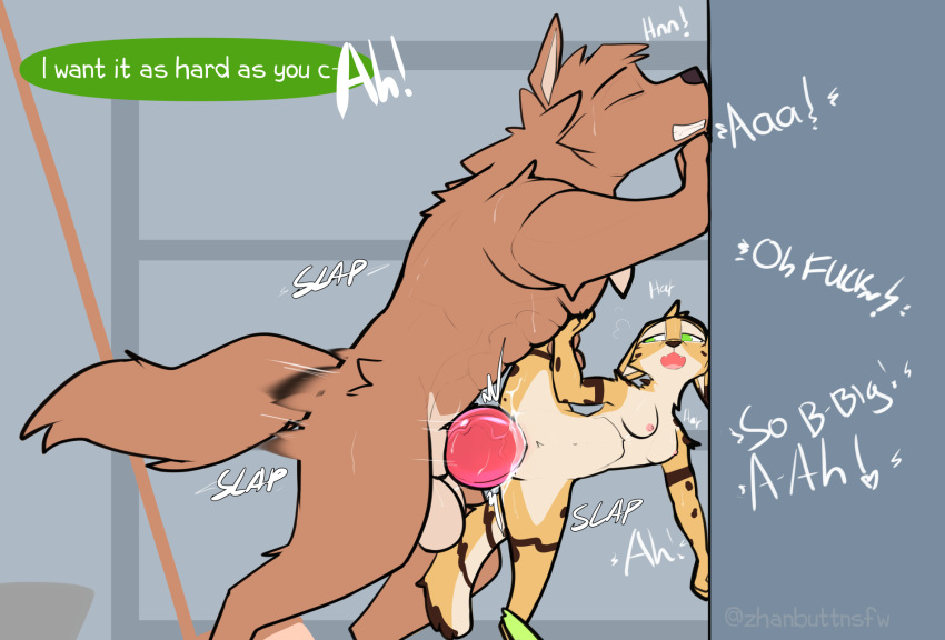 2020 abdominal_bulge animal_genitalia animal_penis anthro anthro_on_anthro anthro_penetrated anthro_penetrating anthro_penetrating_anthro big_knot big_penis breasts brown_body brown_fur canid canine canine_penis canis comic dialogue english_text eyes_closed felid feline female female_penetrated fur genitals hi_res huge_knot iain knot male male/female male_penetrating male_penetrating_female mammal nipples nude penetration penis serval sex speech_bubble spread_legs spreading standing standing_sex text vaginal vaginal_penetration wolf yellow_body yellow_fur zhan