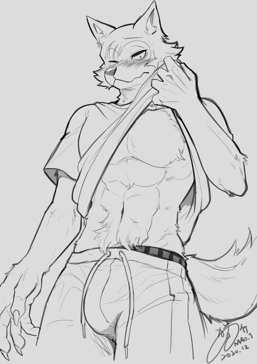 abs absurd_res anthro beastars blush bodily_fluids bottomwear bulge canid canine canis clothed clothing clothing_lift eye_scar facial_scar fluffy fluffy_tail hi_res legoshi_(beastars) looking_at_viewer male mammal mao.j monochrome muscular muscular_anthro muscular_male one_eye_closed pants scar scar_over_eye shirt shirt_lift sketch solo sweat sweatdrop topwear wolf