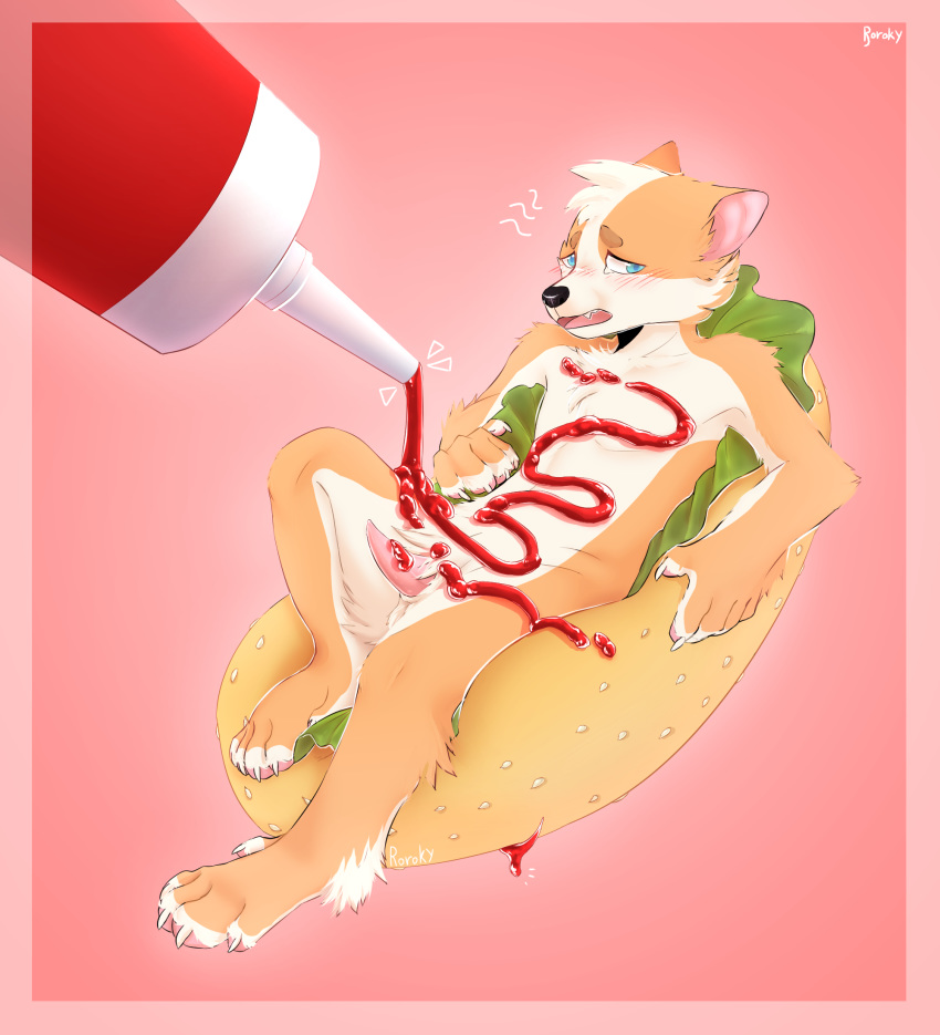 anthro blush canid canine canis condiment confusion domestic_dog feet food genitals herding_dog hi_res hot_dog ketchup laxes lettuce lewd_(disambiguation) lines male mammal meat pastoral_dog paws penis plant playing pouring reptile rorokykyroi sauce sausage scalie snake solo uncertain uncomfortable unsure vegetable welsh_corgi young